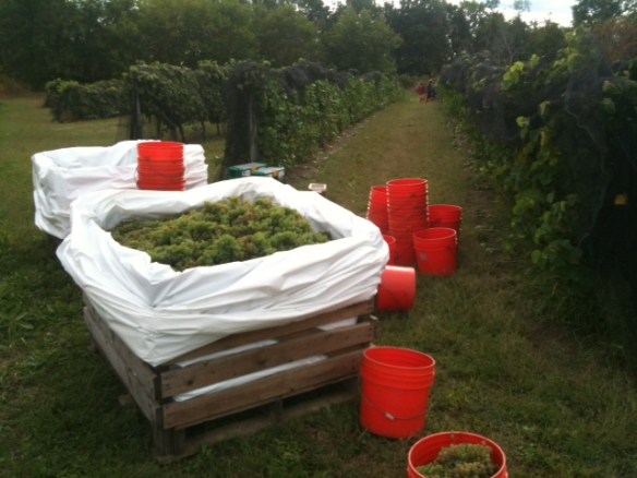 Première boite de 2012